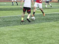 周琦胡金秋,率中国男篮,挑战韩国,大发彩票,互动竞猜平台,大发娱乐,预测挑战,大发彩票APP下载