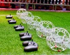 蛇年财运亨,期双色球精,准预测,大发彩票,互动竞猜平台,大发娱乐,预测挑战,大发彩票APP下载