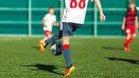 【赵公明神算】第2025141期双色球独家攻略：12红球+2蓝球，命中率爆表，不容错过！