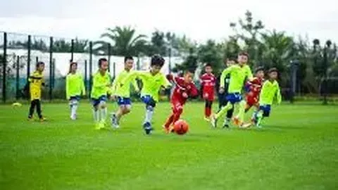 【彩运亨通】2025139期双色球绝密攻略：12红2蓝，共赴财富盛宴，同步收获大奖喜讯！