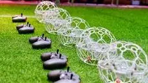 【抢分秘籍】大乐透2026012期精选号码：前12后3，速来布局，大奖等你来中！