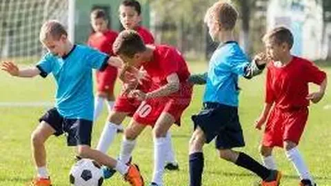 【双色球2026开年首期】揭秘高概率红球策略，六红精选，助力大奖一触即发！