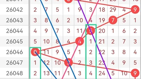 第2026070期 大乐透2026070期专家质合分析：金胆