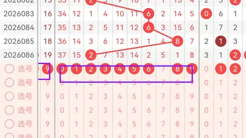 福彩3D第26110期专家质合分析推荐前区十码