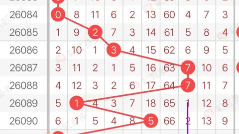 排列三第2026088期祥龙预测推荐汇总