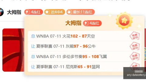 大发彩票官网